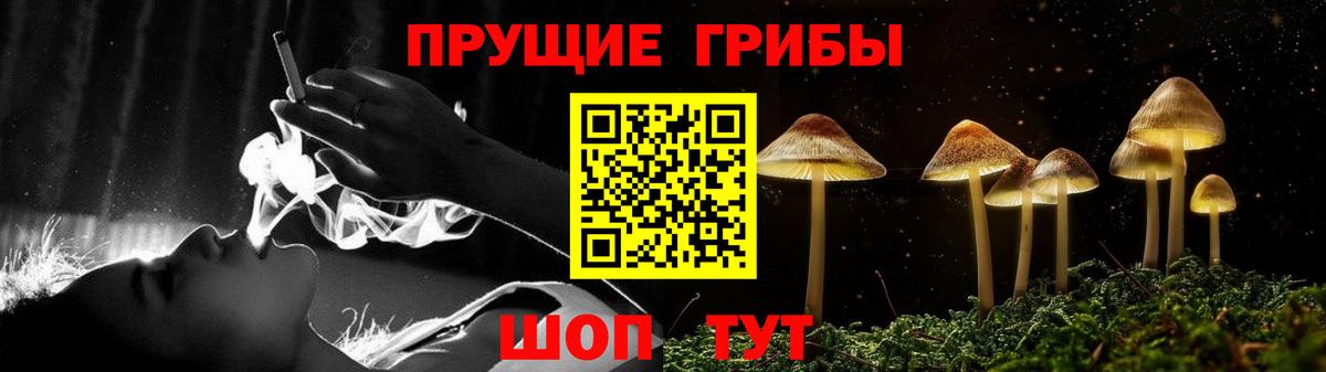 Псилоцибиновые грибы Cubensis Чусовой